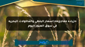 «زيادة مفاجئة» أسعار البلطي والمأكولات البحرية في سوق العبور اليوم